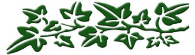 3D Wandschablone Efeuranke