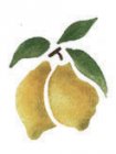 Wandschablone Zitronen