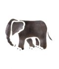 Wandschablone Elefant