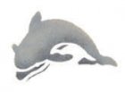 Wandschablone Delphin