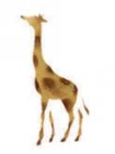 Wandschablone Giraffe