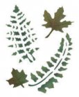 Wandschablone Farnblätter