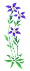 Wandschablone Feldblume