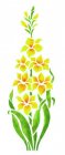 Wandschablone Gladiole